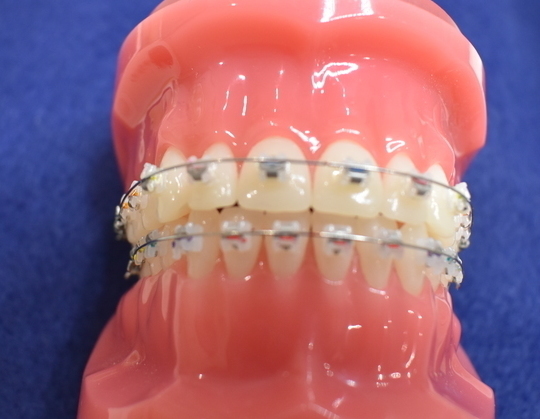 DSC_0234_コピー_コピー